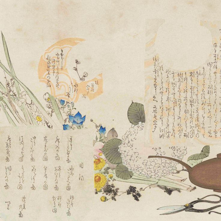 Chanoyu nichinichisō