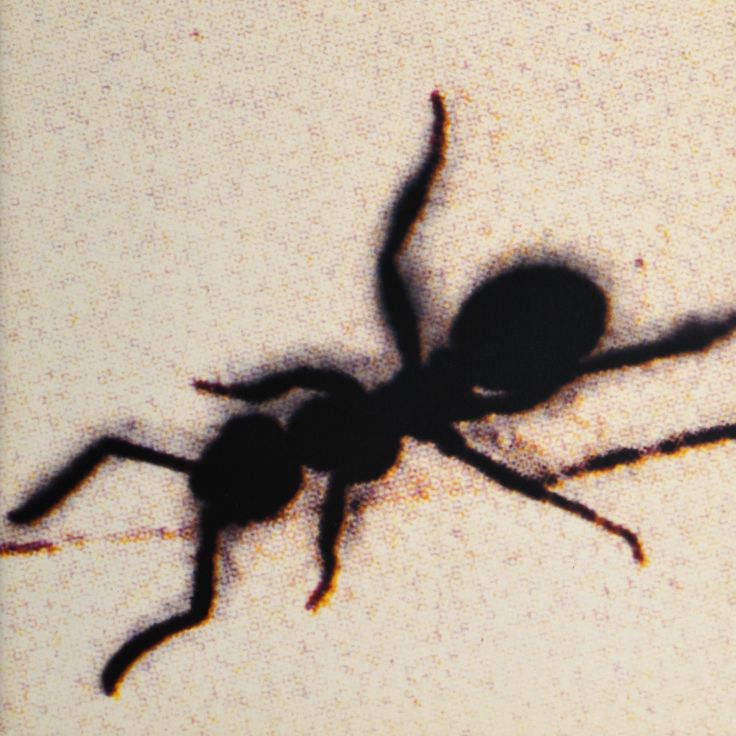 A detail of the left-opening Yokogumi cover, issue 19