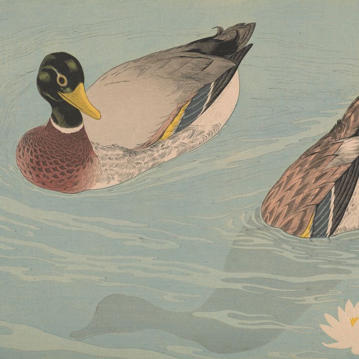 Kamo (1920)
